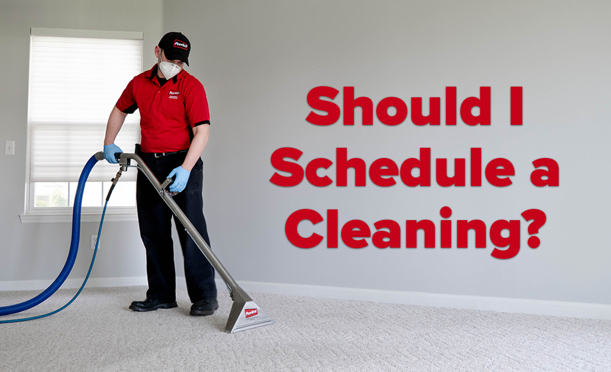 Grayslake Carpet Cleaning Services Near Me