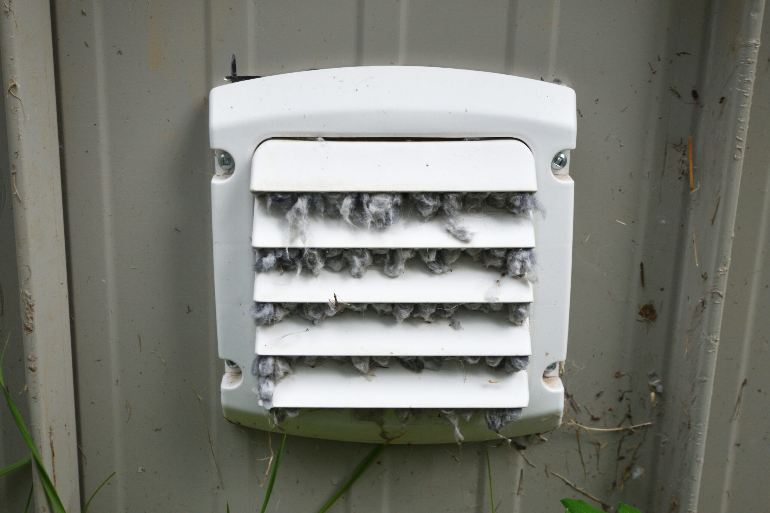 Dirty Dryer Vent Close Up - Peerless - Air Duct Cleaning